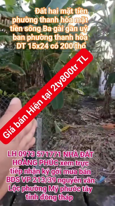 Bán Gấp Đất Vàng Phường 2 Cai Lậy - 351m² Thổ Cư, Giá 2.8 Tỷ