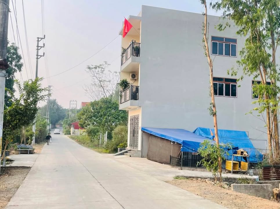 Bán Đất Đường Lâm, Sơn Tây 60m² - Sổ Đỏ Chính Chủ, Giá 1 Tỷ