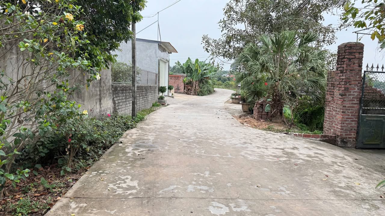 Đất Nền Thị Trấn Cao Thượng 300m² Hơn 1 Tỷ - Đất Thổ Cư 100%