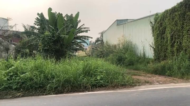 Bán Đất Nền 200m² Thích Thiện Hòa, Bình Chánh - Giá 4.1 Tỷ/Nền
