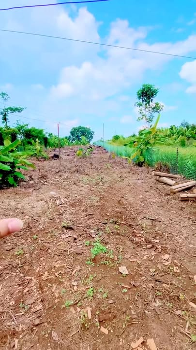 Đất Sào Đồng Nai - 3600m² Thổ Cư Xây Dưỡng Nghỉ Dưỡng