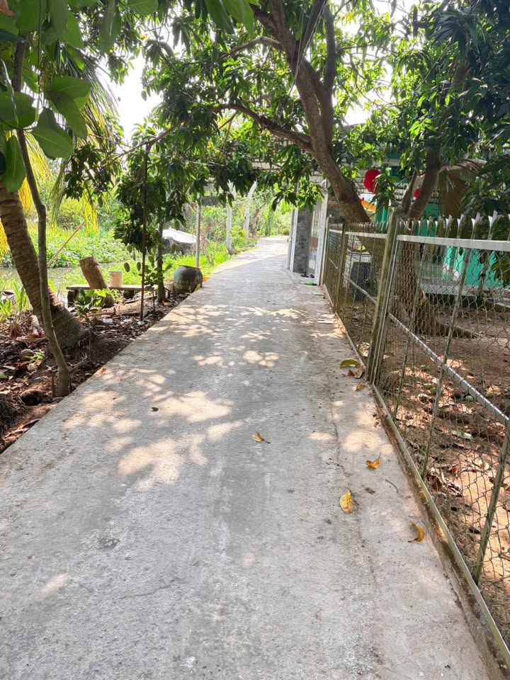 Đất nền An Hữu Cái Bè 769m² - Sổ đỏ chính chủ, giá 450 triệu