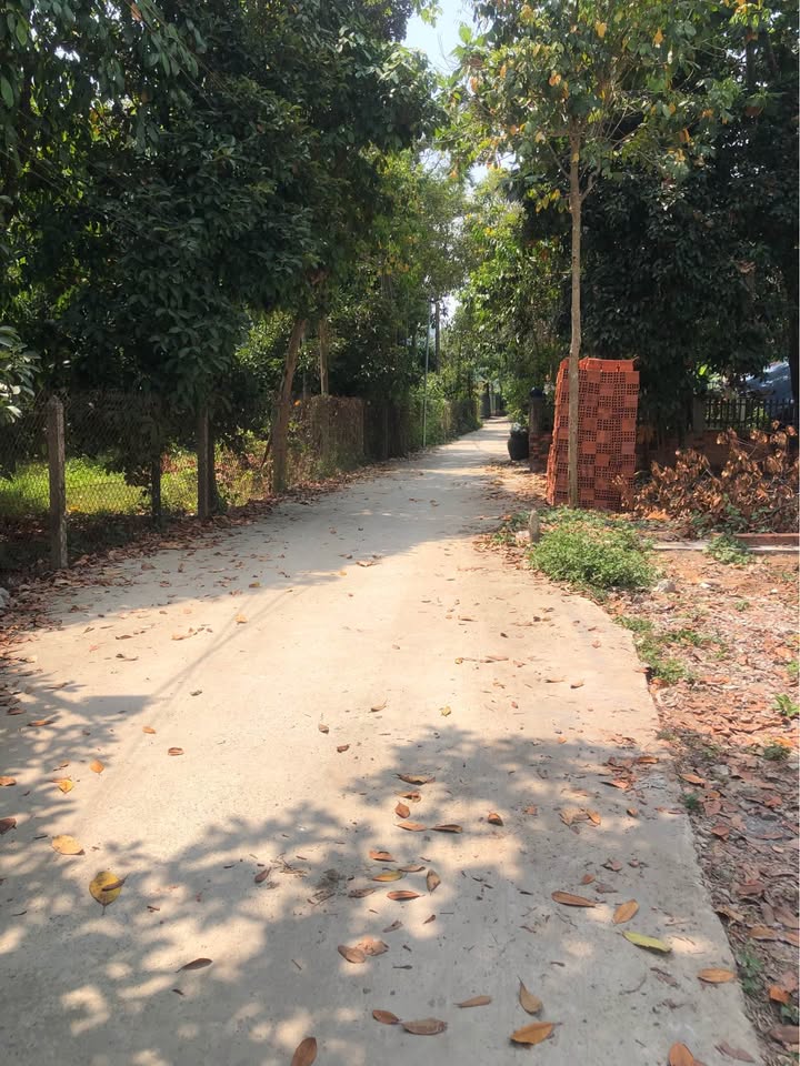 Bán Đất Nền Thuận An 433.4m² Mặt Tiền Đường An Thạnh 36 - Giá 5.2 Tỷ