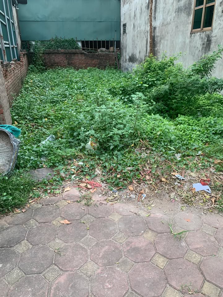 Đất nền Liên Mạc Bắc Từ Liêm 46m² - Sổ đỏ chính chủ!