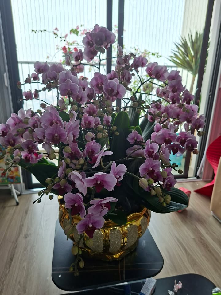 Căn hộ Kosmo Xuân La 96m² giá 12 tỷ - Sẵn sàng vào ở ngay