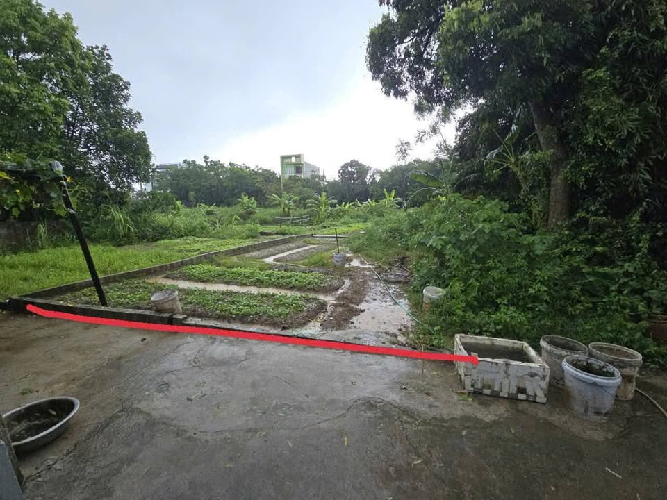 Đất nền Liêm Chính, Phủ Lý 75m² giá 1.6 tỷ - Sổ đỏ chính chủ!