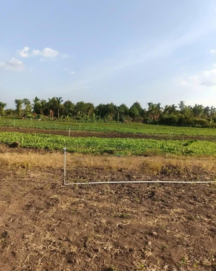 Bán đất nền Krông Bông Đắk Lắk 6000m² giá 1.58 tỷ - Sổ đỏ chính chủ