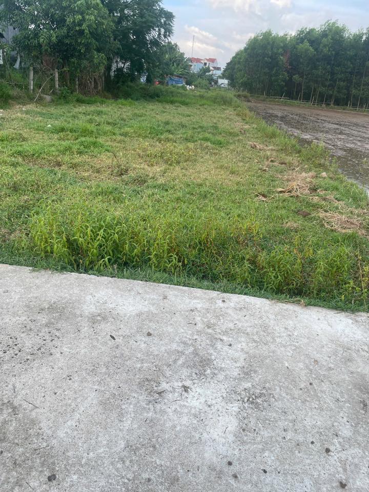 Bán Đất Phú Quý, Đại Lộc, Quảng Nam - 125m² Hướng Tây, Giá 6xx Triệu