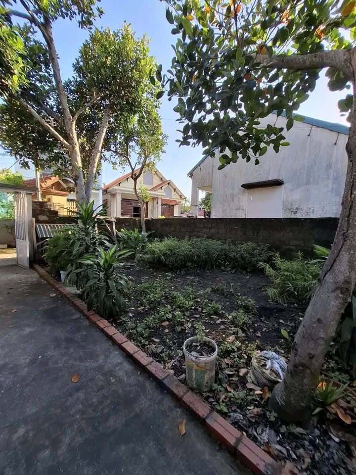 Đất nền Hà Tu, Hạ Long 47m² giá 700 triệu - Tiềm năng tăng giá vượt trội!