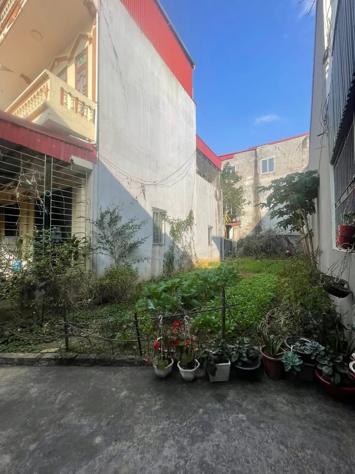 Đất Lạng Sơn 103.2m² - Ngõ 180 Phai Vệ, P. Đông Kinh - Giá Thỏa Thuận