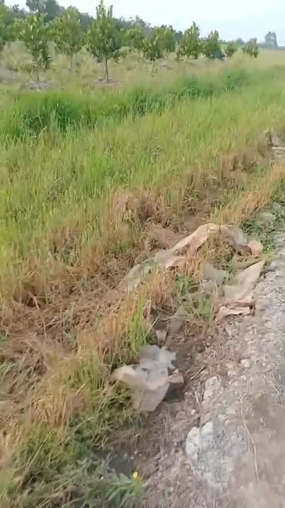 Đất nền Thanh Mỹ 17000m² - Đường to ô tô, nở hậu đẹp!