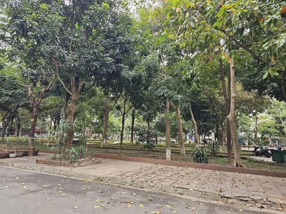 Nhà 4 Tầng Vườn Hoa Võ Cường 86m² - Sẵn Sàng Ở Ngay