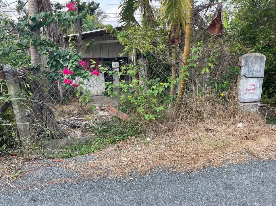 Đất Vườn Gò Quao, Kiên Giang 3456m² - Cơ hội đầu tư dài hạn!