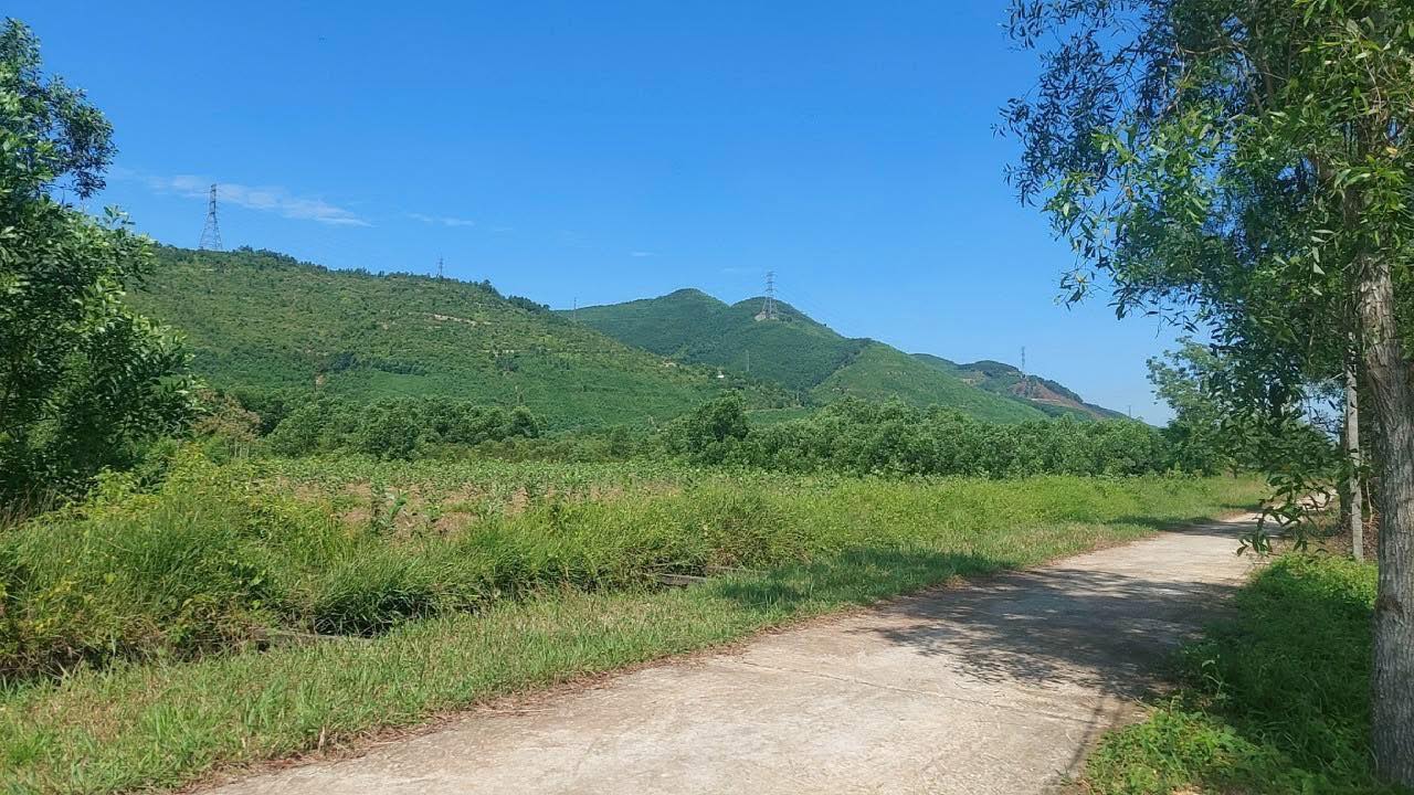Đất vườn Phong Xuân Huế 540m² giá 500 triệu - Nghỉ dưỡng lý tưởng!