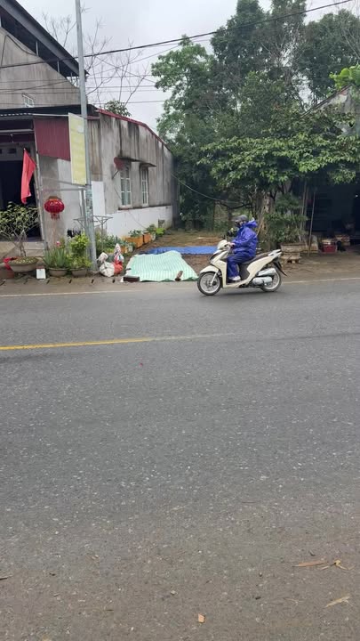 Đất thổ cư Cẩm Thủy 191m² - Sổ đỏ chính chủ, giá 1.59 tỷ