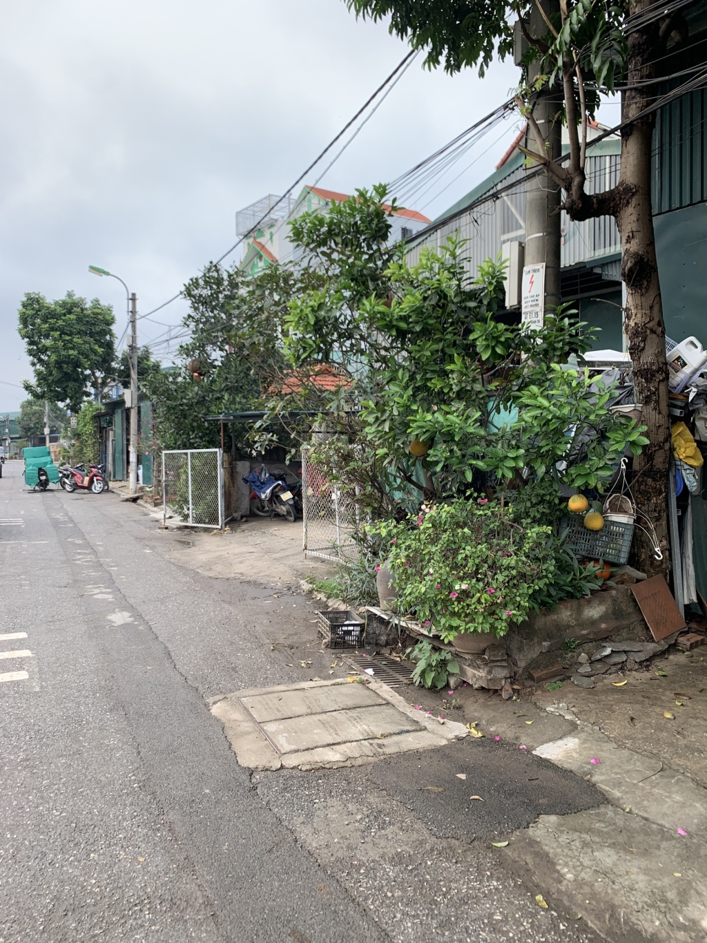 Bán Gấp Đất Long Biên 342m² Mặt Tiền Rộng - Sẵn Kho Kiên Cố