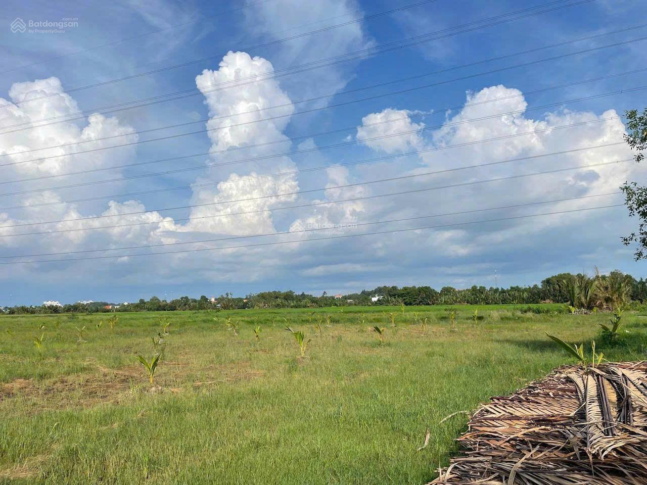 Đất nền Phú Đông Nhơn Trạch 2.3ha - Tiềm năng tăng giá vượt trội!