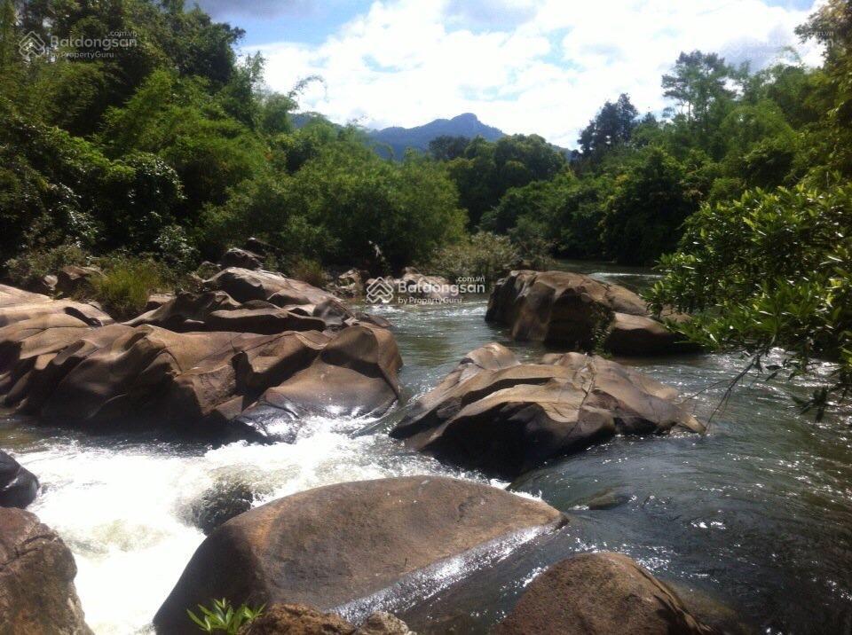 Đất vườn QL20 Đạ Huoai 9.700m² - Nghỉ dưỡng lý tưởng!