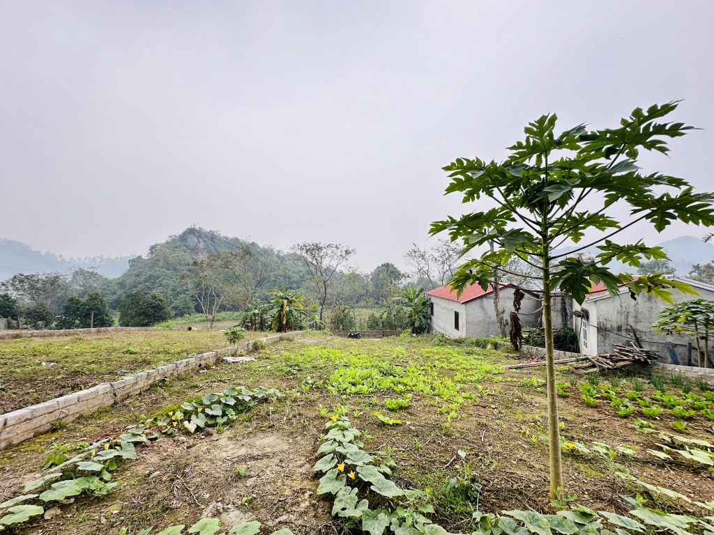 Đất Vườn Liên Sơn 450m² View Núi - Sổ Đỏ Sẵn Sàng, Giá Đầu Tư