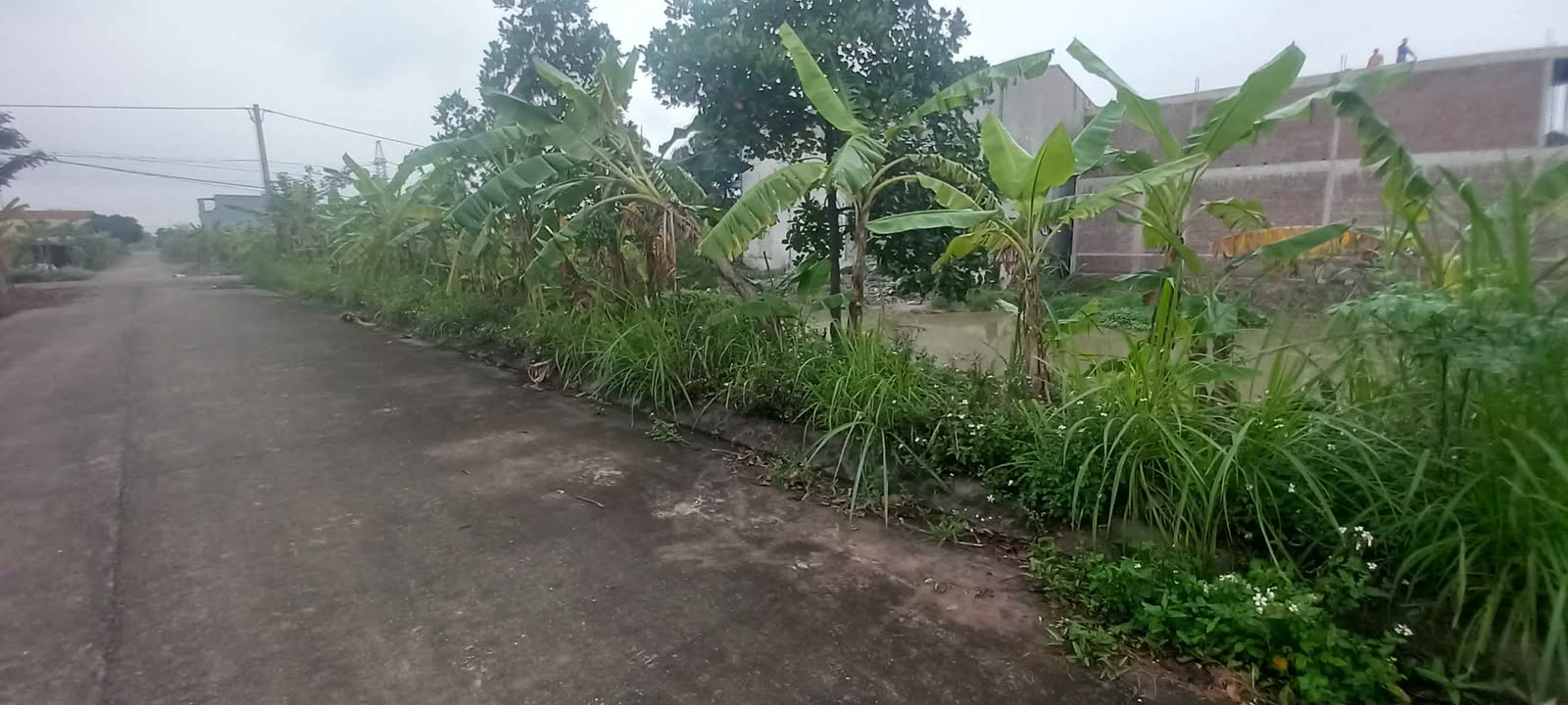 Đất nền Đồng Trằm Ninh Khang 111m² 6.1 tỷ - Sổ đỏ chính chủ