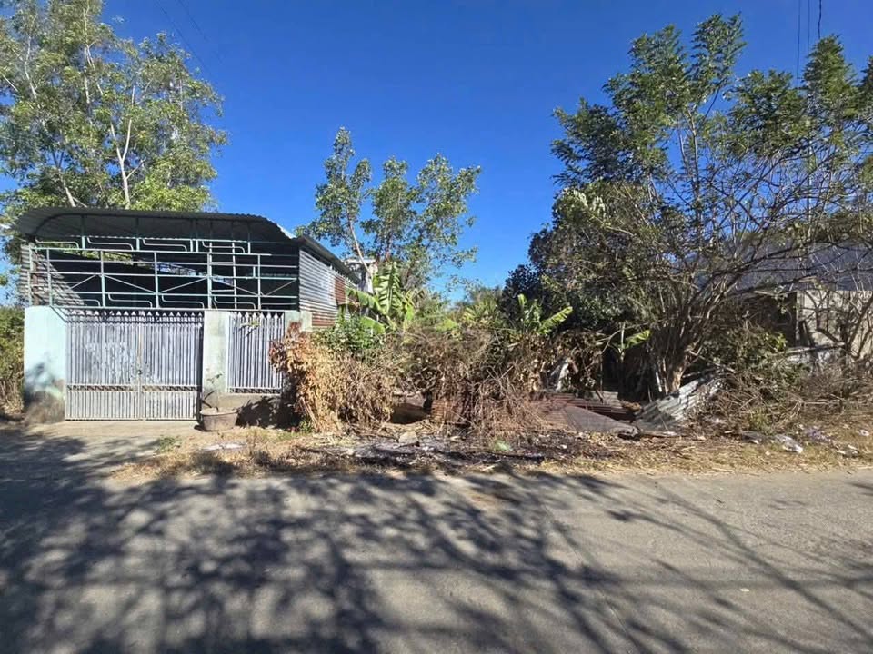 Đất Nền Đắk Blô, Kon Tum - 75m² Thổ Cư, Gần Ngã 4 QL24 - 590 Triệu