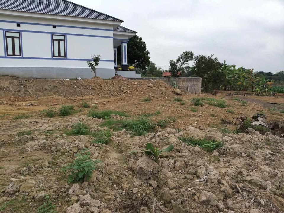 Đất nền Yên Sinh - Đông Triều 500m² - Giá chỉ hơn 500 triệu