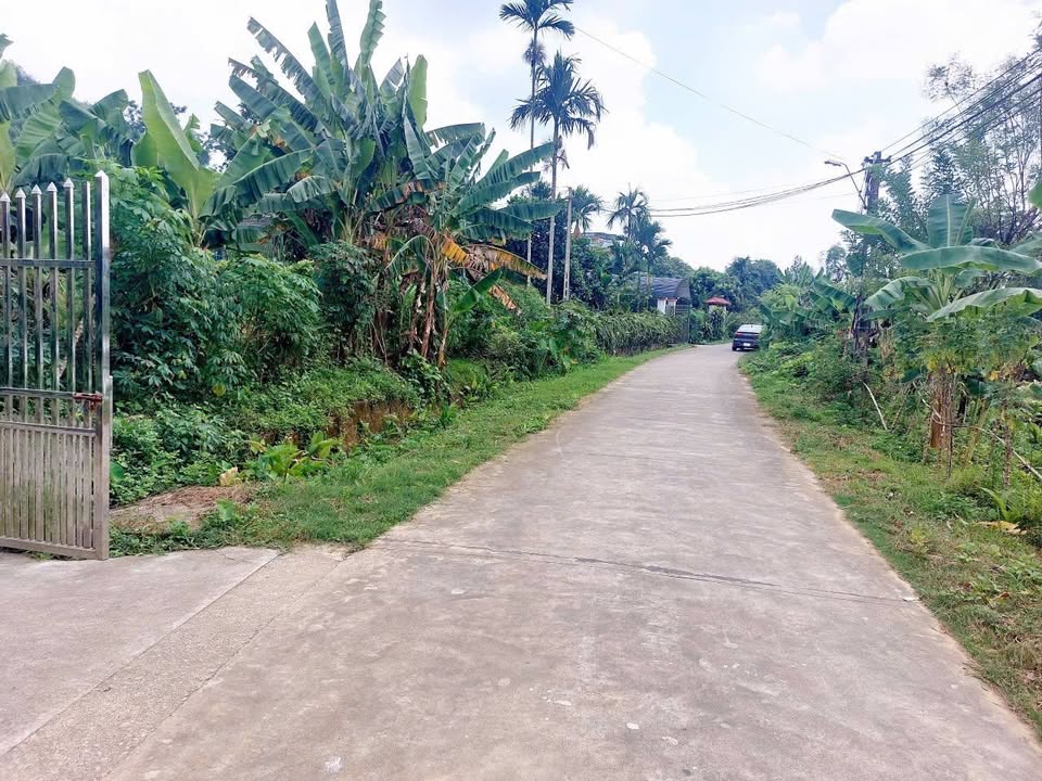 Đất Xã Phú Thịnh 248m² - Sổ đỏ chính chủ, tiềm năng đầu tư!