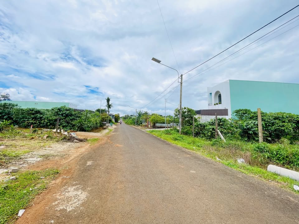 Đất Mặt Tiền Nguyễn Siêu, Pleiku - 295m² - Giá 1.3 Tỷ - Kinh Doanh Vượng Phát