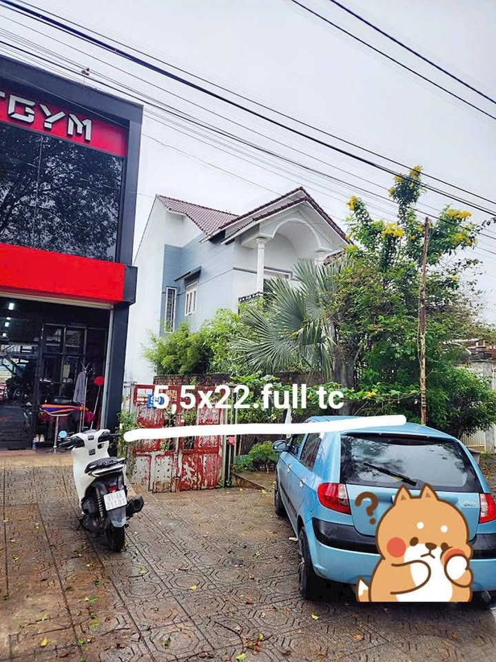 Đất nền Mặt tiền Tôn Thất Tùng Quy Nhơn 121m² - Sổ đỏ chính chủ!