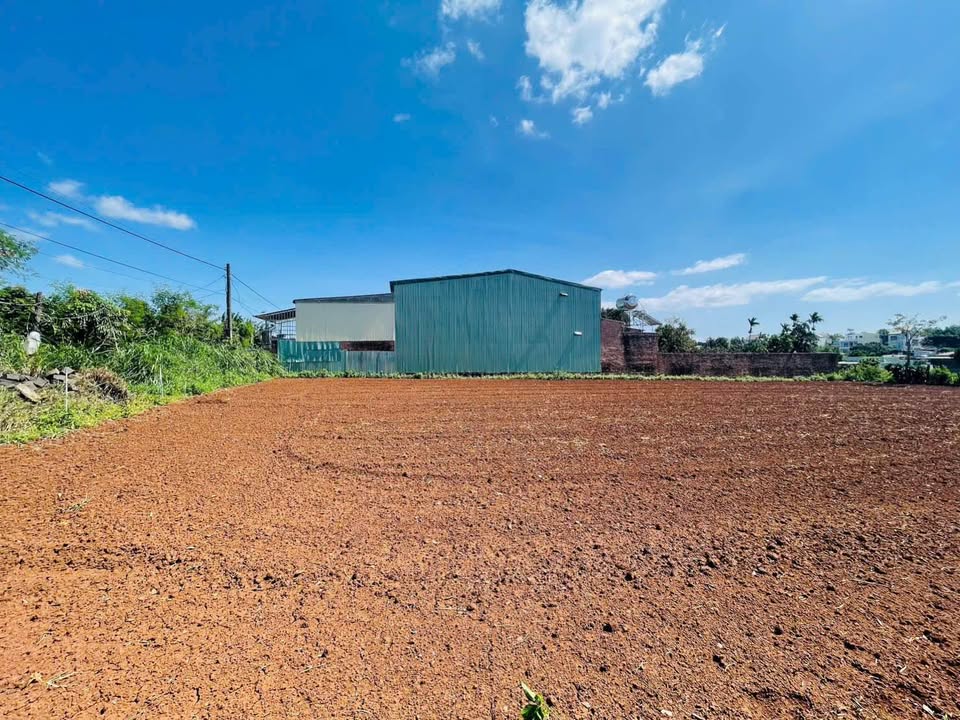 Bán Đất Lô Góc Nguyễn Tuân, Pleiku 132m² Full Thổ Cư - Giá 8xx Triệu