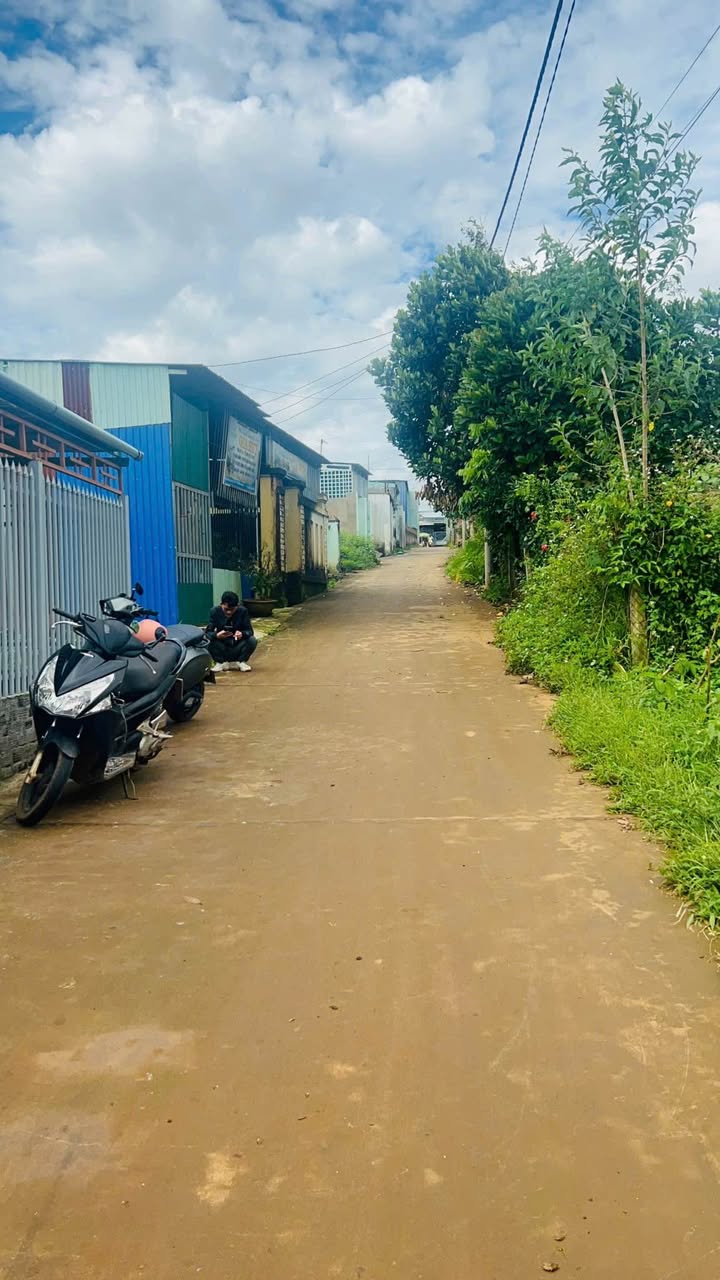 Đất Nền Pleiku 250m² - Vị Trí Đắc Địa Đồi Thông, Giá 8 Tỷ