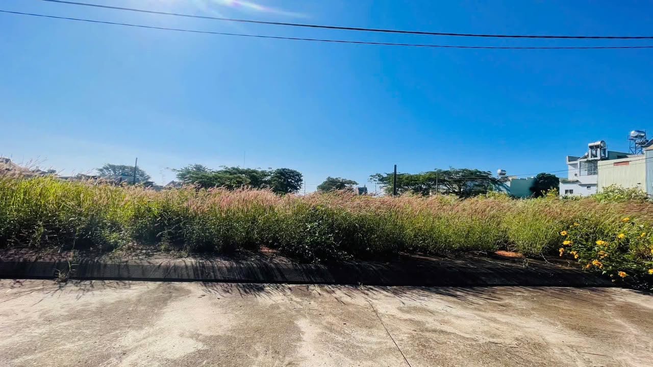 Đất nền Diên Hồng, Pleiku - Sổ đỏ, xây dựng tự do, đối diện FLC!