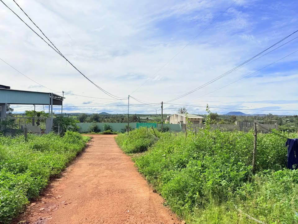 Bán Đất Tặng Nhà Đường Bùi Viện, Pleiku - 514m² Thổ Cư, Giá 1 Tỷ