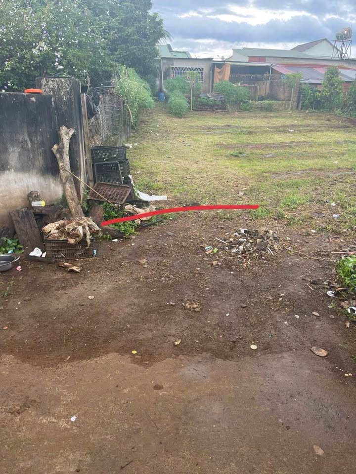 Đất nền Hẻm Bùi Viện, Pleiku 145m² - Sổ đỏ chính chủ!