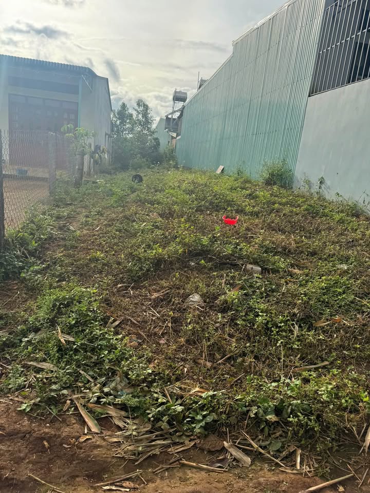 Đất Nền Làng Nhao 1 Chư Pưh - 207m² Sổ Hồng Riêng, Giá 600 Triệu