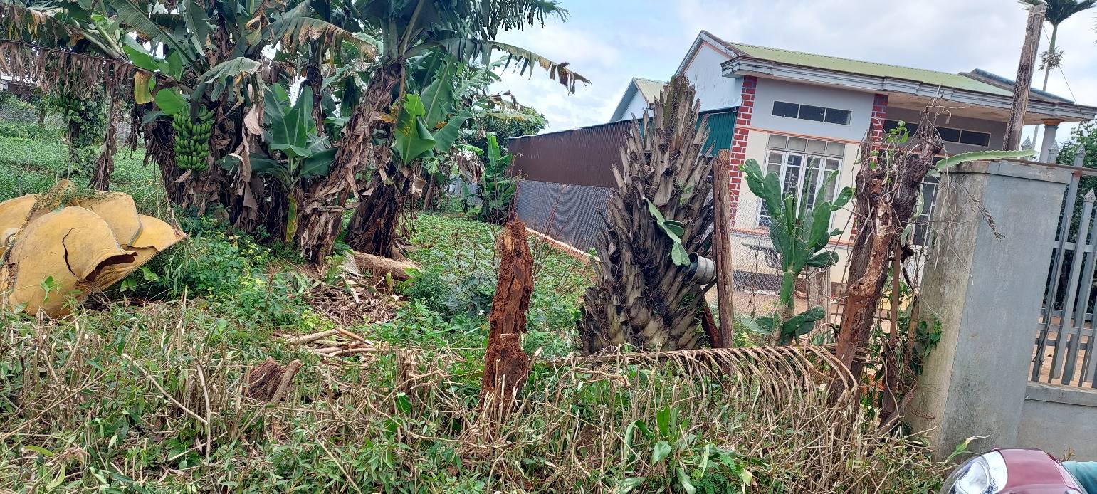 Đất Nền Hẻm 735 Lê Duẩn, Pleiku - 140m² Sẵn Sổ Hồng