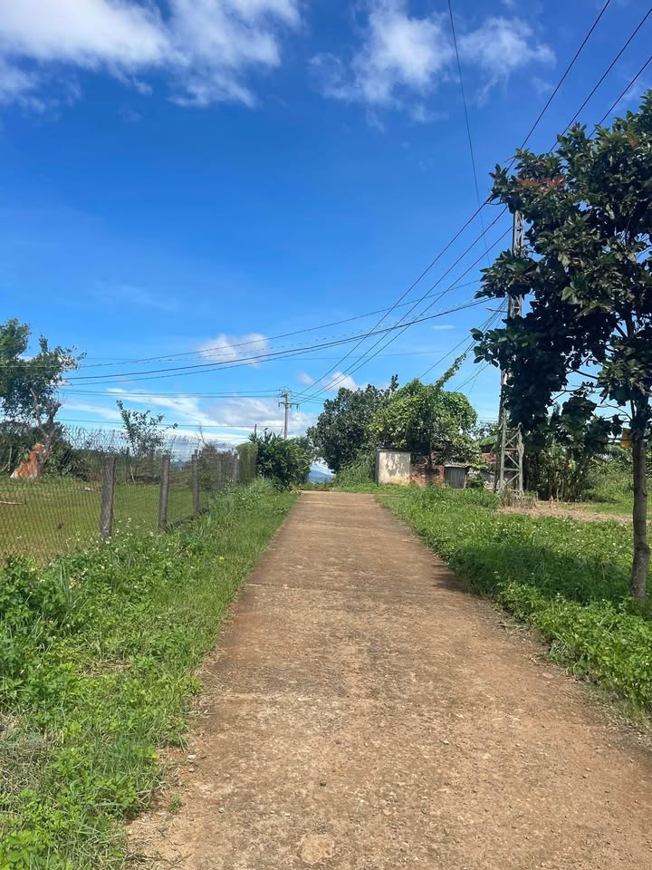 Đất nền Bùi Viện An Phú 125m² - Hướng Tây, Giá 4xx Triệu Đầu Tư