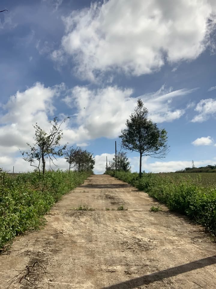 Đất Nền 160m² Phường Diên Hồng, Pleiku - Sổ Đỏ Sẵn Sàng