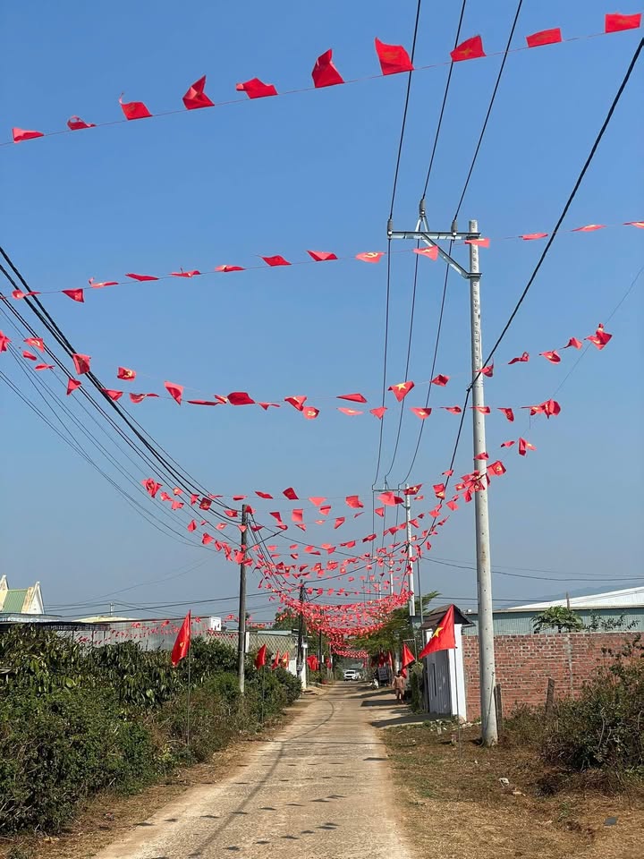 Bán Đất Nền Mặt Tiền Trần Văn Ơn, Quy Nhơn - 175m² Thổ Cư, Giá Tốt