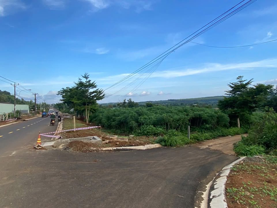 Đất Mặt Tiền Lý Chính Thắng, Pleiku - 144m² Sổ Đỏ, Giá 1.6 Tỷ