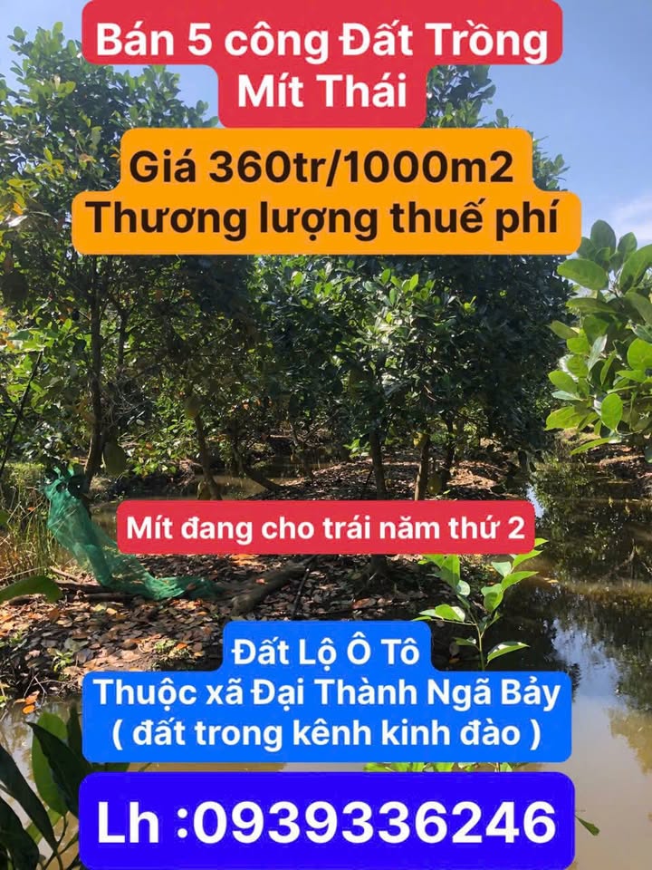 Bán Gấp 5000m² Đất Vườn Đại Thành, Ngã Bảy - Giá Đầu Tư 1.8 Tỷ