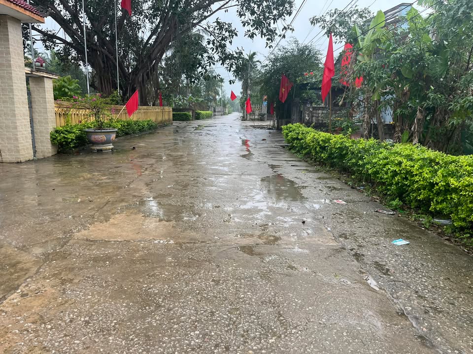 Đất nền Trường Minh, Nông Cống 150m² - Đất thổ cư 100%