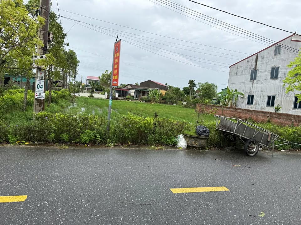 Đất nền Cẩm Vịnh 120m² - Mặt tiền đường 15m, ô tô quay đầu!