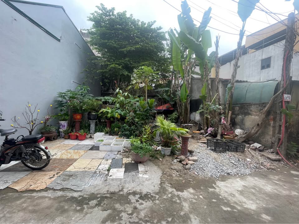 Đất nền Trần Xuân Soạn 100m² - Sổ đỏ chính chủ, xây dựng tự do!