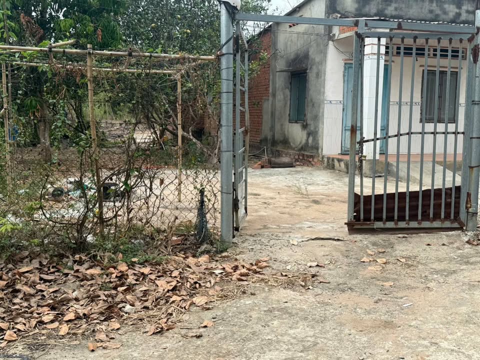 Bán Gấp 10.800m² Đất Vườn Minh Thạnh, Dầu Tiếng - Sẵn Sổ Hồng, Có Nhà Cấp 4