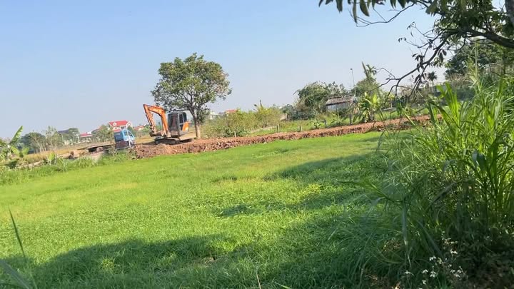 Đất Vườn Thái Thụy 1089m² Giá 1.2 Tỷ - Nghỉ Dưỡng Lý Tưởng