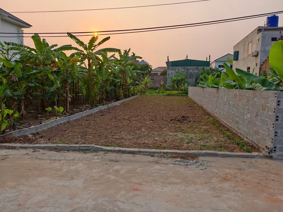 Đất nền Tân Châu 96m² nhỉnh 1.5 tỷ - Tiềm năng tăng giá vượt trội!