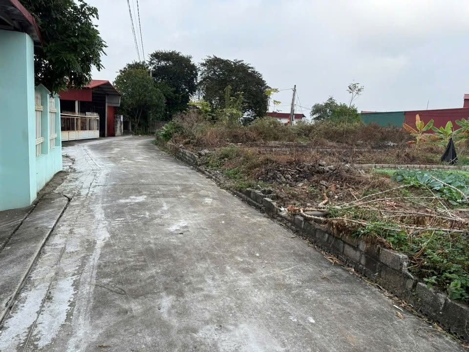 Đất nền 120m² Phường Việt Yên, Bắc Giang - Sổ đỏ chính chủ, đường to ô tô!