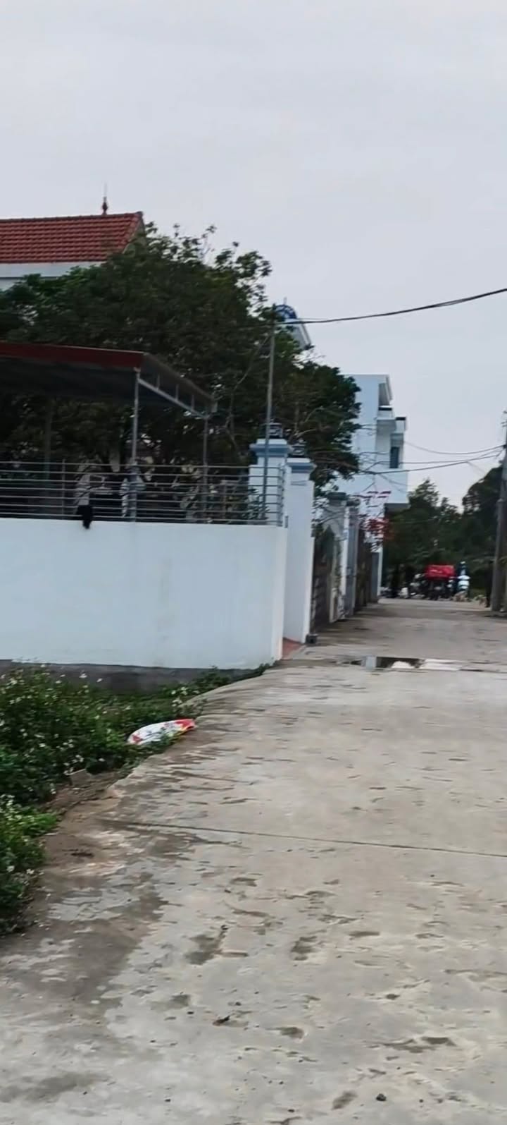 Bán Gấp Đất Vàng Xã Chuyên Mỹ, Phú Xuyên - 80m² - Đường 2 Ô Tô Tránh Nhau