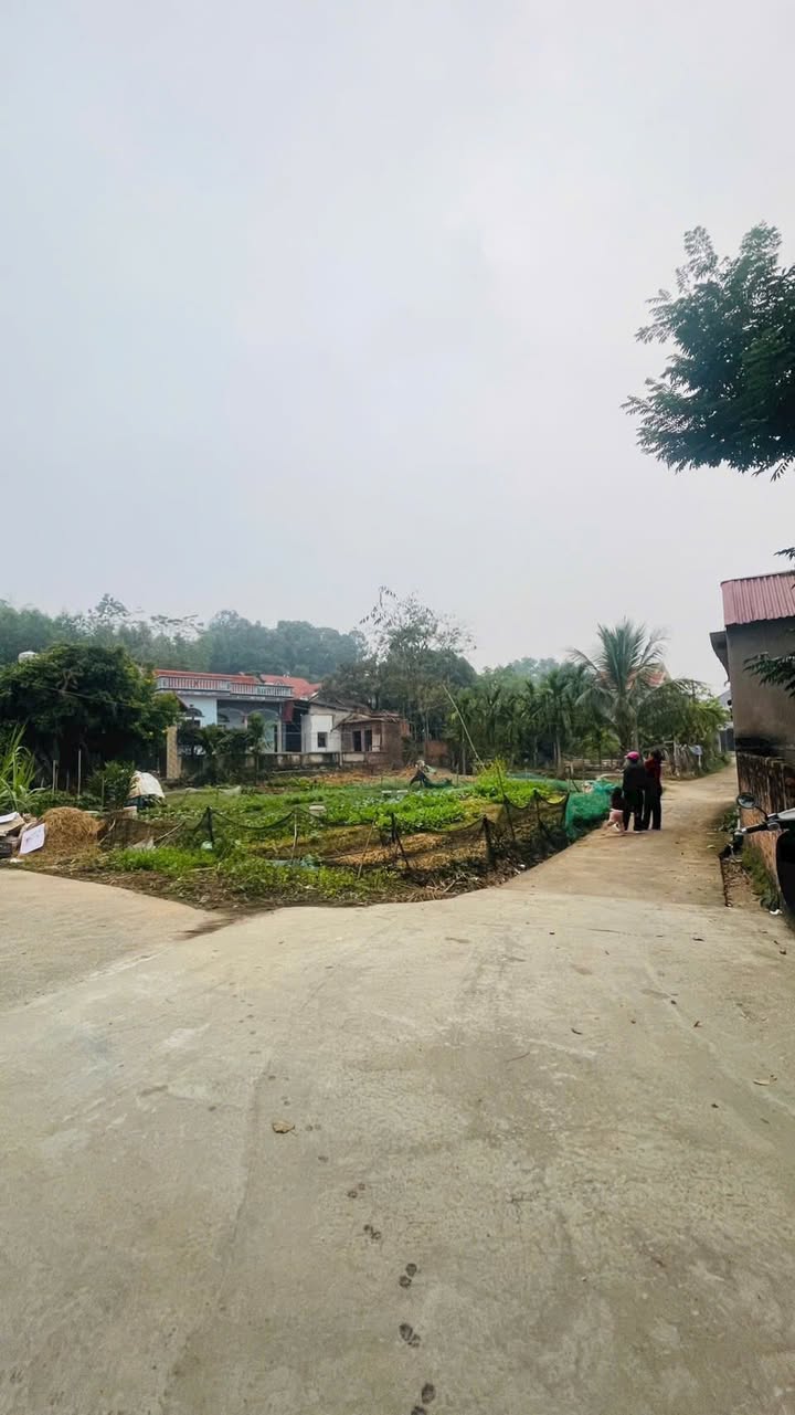 Đất nền Phường Tân An, Bắc Giang 130m² - Sổ đỏ chính chủ!